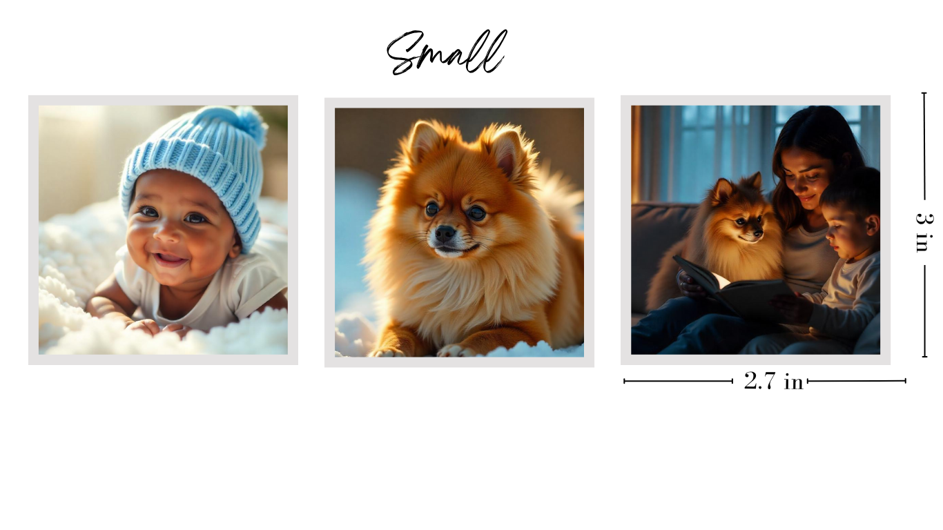 Polaroid Magnets