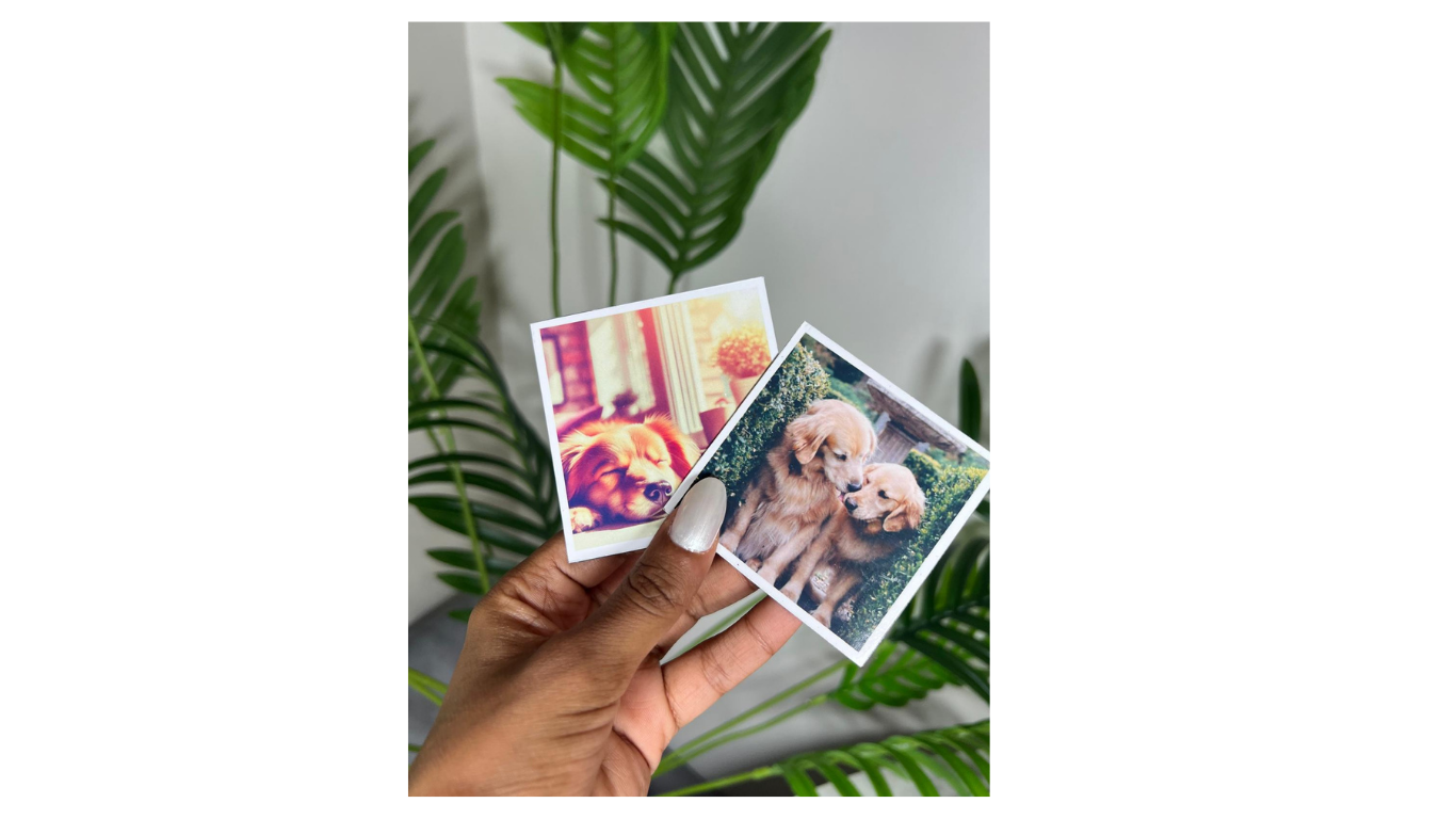 Polaroid Magnets