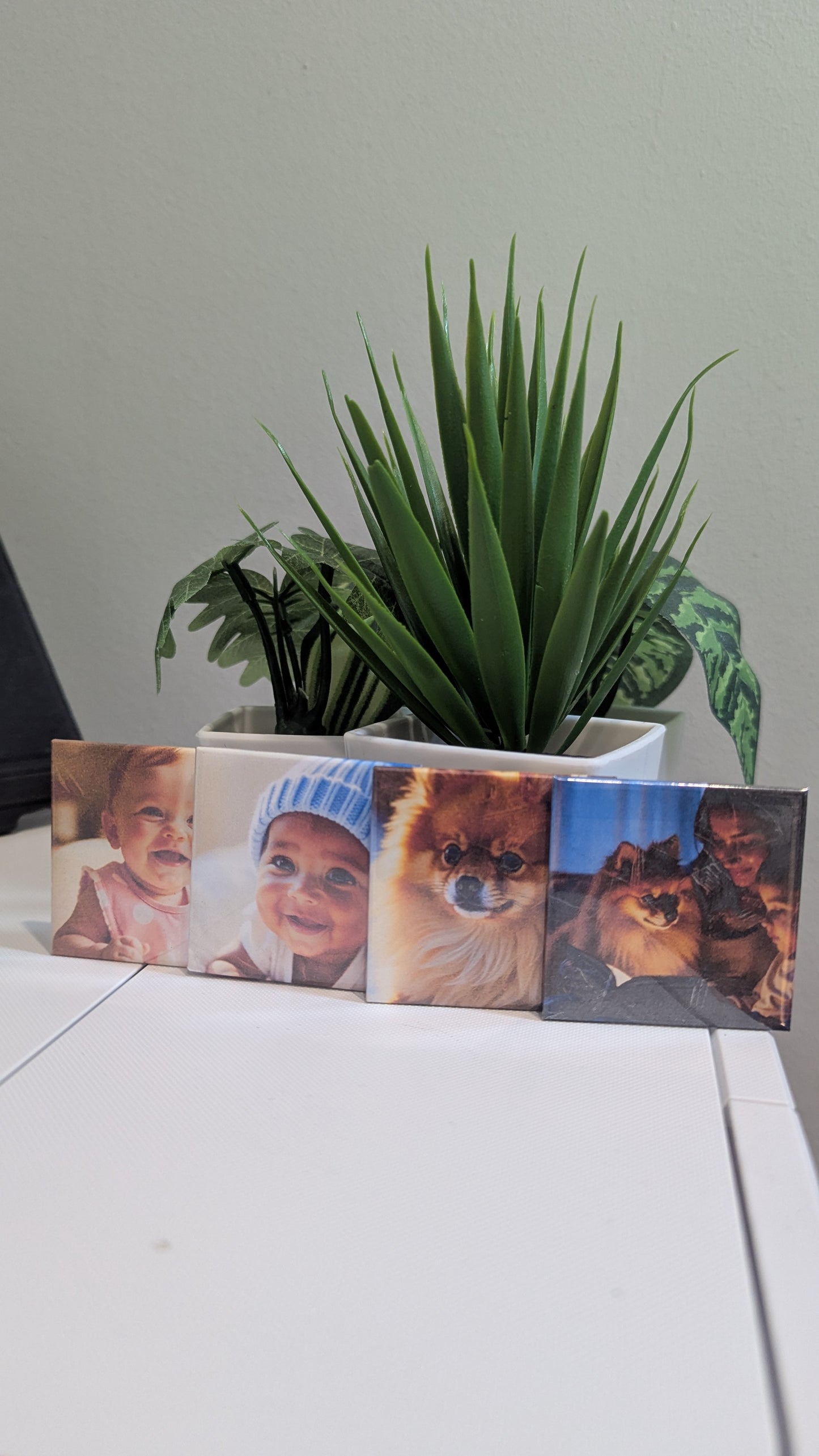 Photo Magnet